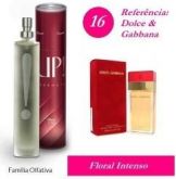 UP16 / Dolce & Gabbana
